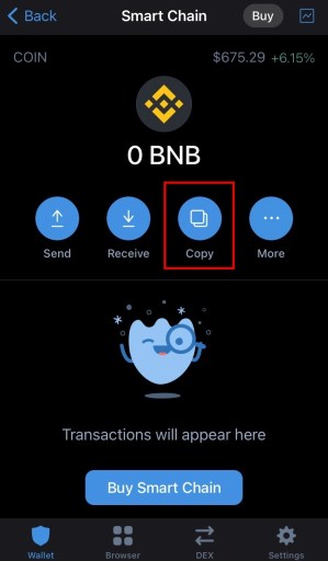 Скопируйте адрес BNB в Trust Wallet