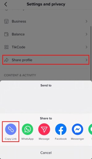 TikTok скопировать ссылку на профиль