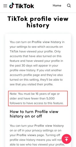 История просмотра профиля TikTok не отображается