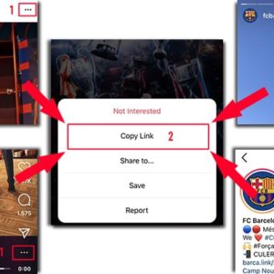 SaveClip: Comprehensive Instagram Video and Story Downloader