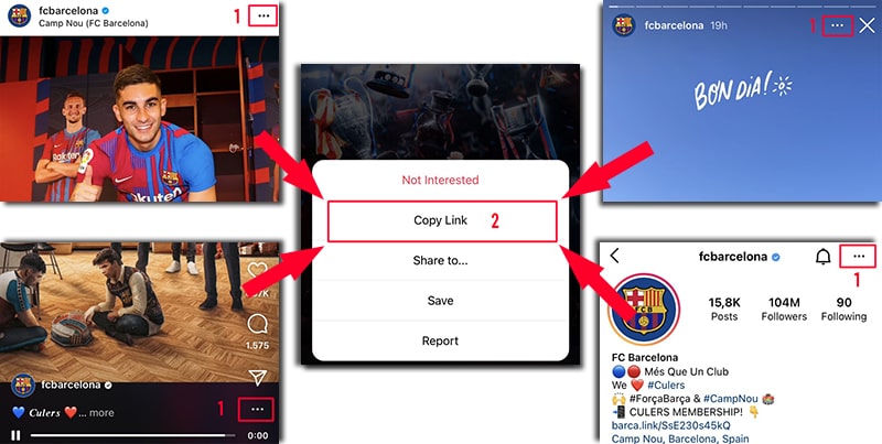 SaveClip: Comprehensive Instagram Video and Story Downloader