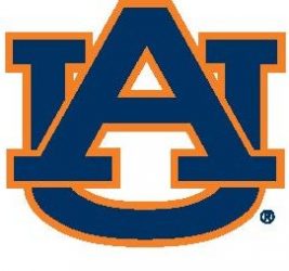 Why I Love Auburn: A Celebration of Community and Student Life