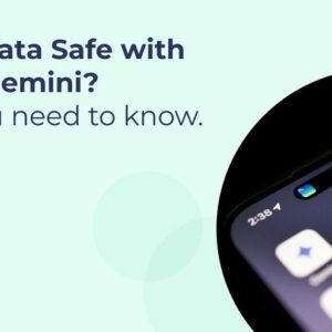 Understanding Data Privacy Concerns with Google Gemini for SMEs