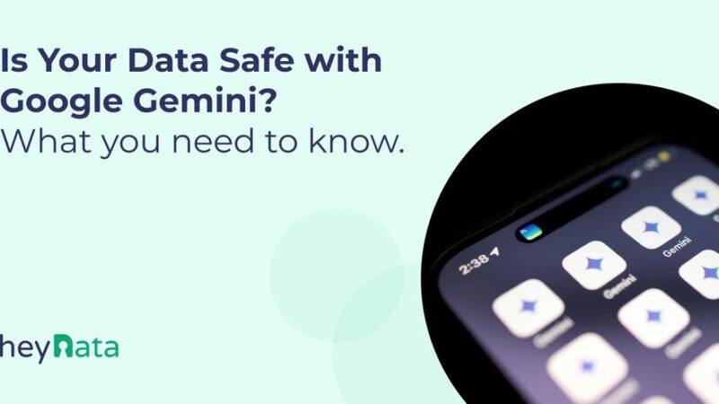 Understanding Data Privacy Concerns with Google Gemini for SMEs